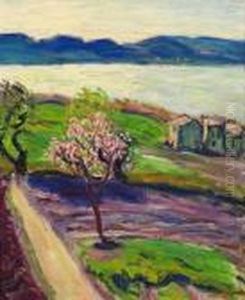 Arbre En Fleurs