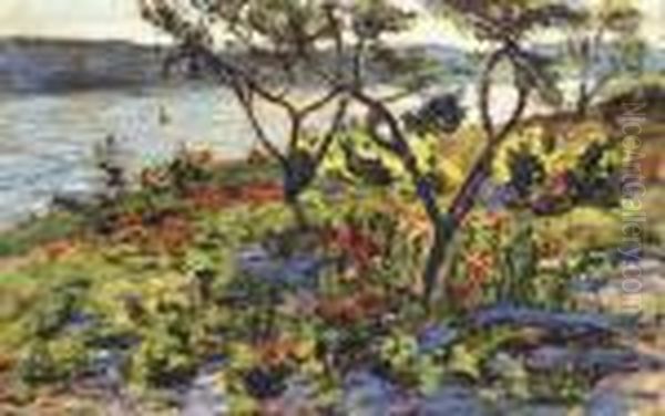 Contre-jour Sur L'etang De Berre - view 1