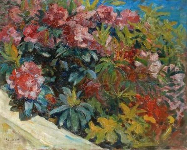 Le Jardin - view 1