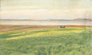 Paysage Au Bord D'un Fleuve