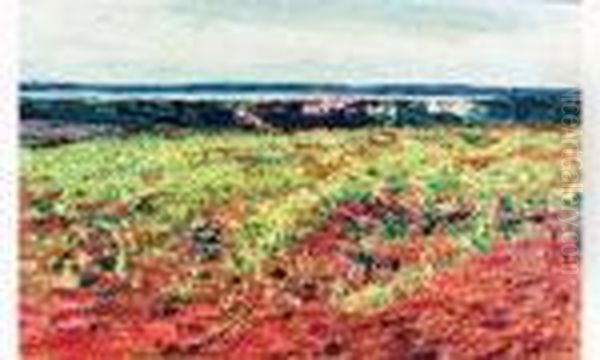 Paysage A St-chamas - view 1