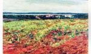 Paysage A St-chamas