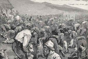Sheepshearing in Southern California, from the book The Century Illustrated Monthly Magazine, May to October, 1883 by Henry Sandham