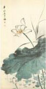 Lotus by Chen Shaomei