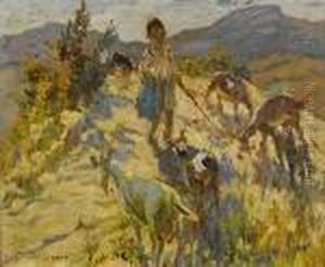 The Little Shepherd
