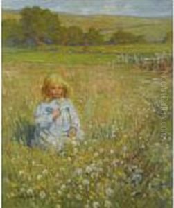 Field Daisies