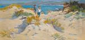 On The Dorset Coast On The Dorset Coast