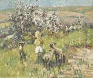 Springtime Springtime