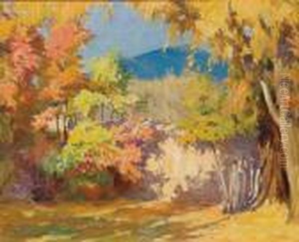An Old Garden In Taos - view 1