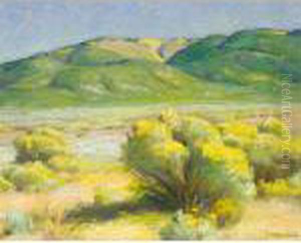 Rabbit Brush - view 1