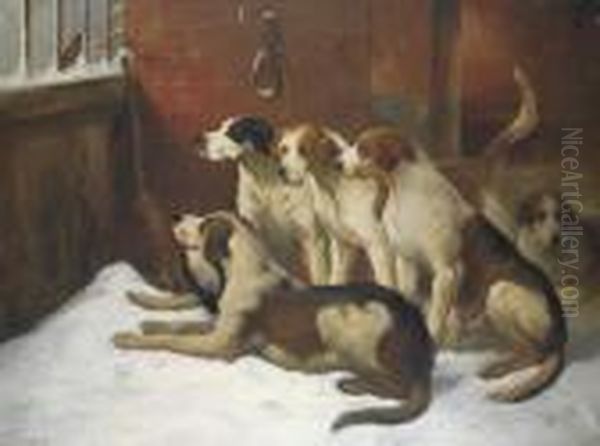 Hounds In A Kennel - view 1