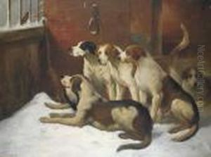 Hounds In A Kennel