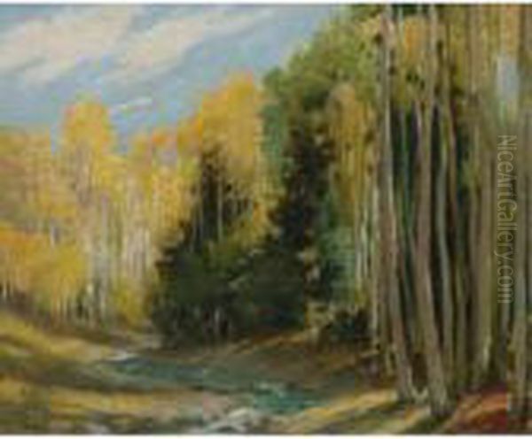Aspen Forest, Hondo Canyon Near Taos - view 1