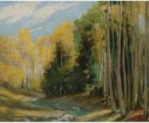 Aspen Forest, Hondo Canyon Near Taos