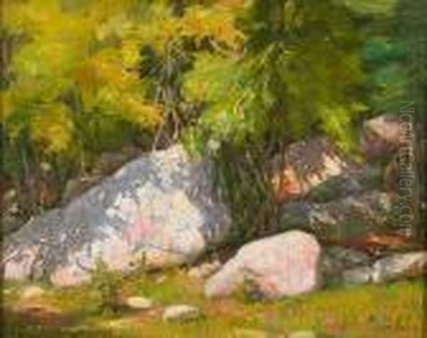 Rocks, Hondo Canyon Near Taos - view 1