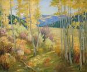 Taos Forest