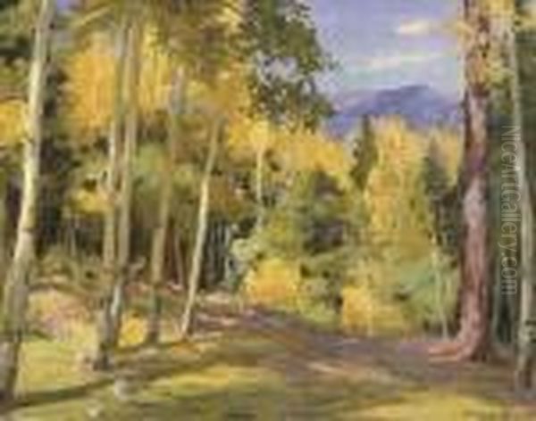 Palo Flechado - view 1