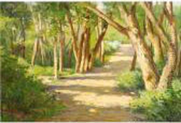 Path Along The Cottonwoods - Taos - view 1