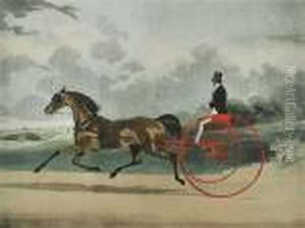 Lord William - view 1