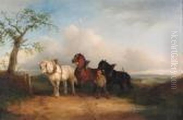 The Plough Team - view 1