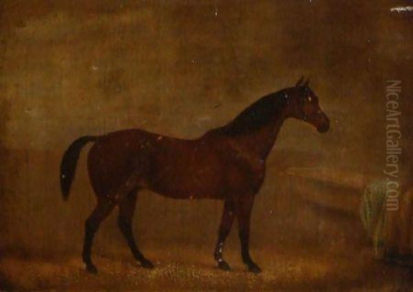 Racehorse In A Stable - view 1