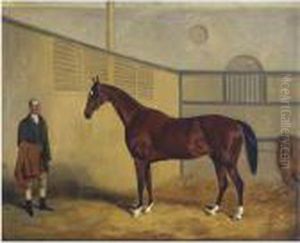 Midshipman
And His Groom In A Stable Midshipman
And His Groom In A Stable