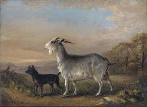 Dogs Resting By A Hay Stook; And A Goat And A Terrier In Alandscape
