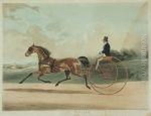 Klusak Lord William by William Joseph Shayer