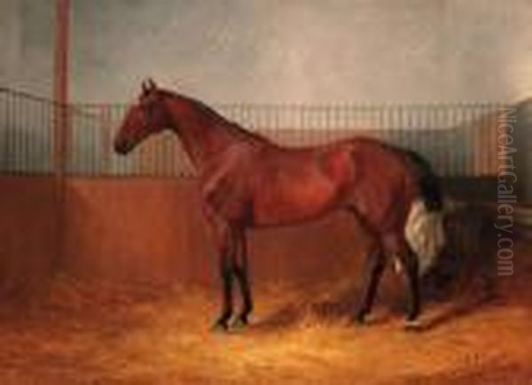 Blankey, A Bay Hunter In A Loosebox; And Harlequin, A Dapple Greyhunter In A Loosebox - view 1