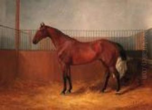 Blankey, A Bay Hunter In A Loosebox; And Harlequin, A Dapple Greyhunter In A Loosebox by William Joseph Shayer