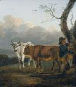 Bauernjunge Mit Zwei Kuhen