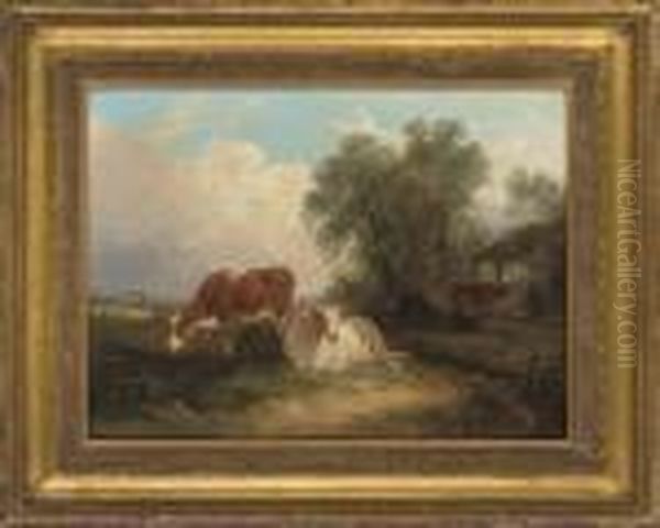 Cattle Resting In The Field - view 1