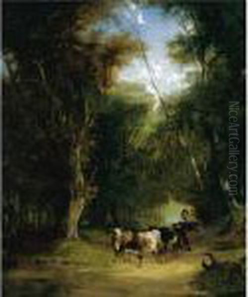 In The New Forest - view 1