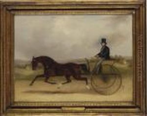 'confidence', A Celebrated American Trotter Performing A Match In Harness 'confidence', A Celebrated American Trotter Performing A Match In Harness