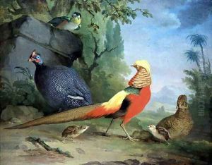 Wild Fowl by Aert Schouman
