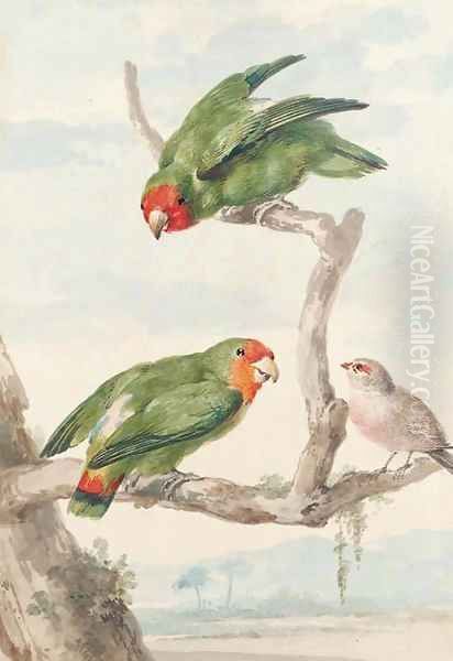 Two green parakeet and a Brazilian robin perching on a tree - view 1