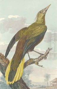 A bird of paradise in an exotic landscape by Aert Schouman