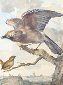 A Jay with outstretched wings and a Wren perching on a tree beside a Dutch estuary