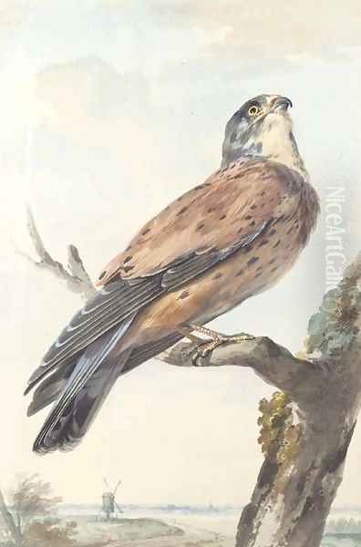 A Kestrel perching on a branch, a windmill beyond - view 1
