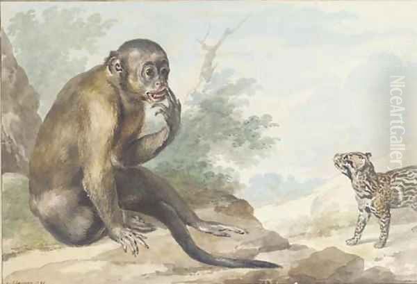 A monkey seated on a rock looking at a civet - view 1
