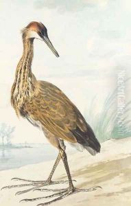 A Purple Heron on a sand bank by Aert Schouman