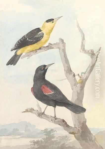 Two exotic birds on a tree - view 1