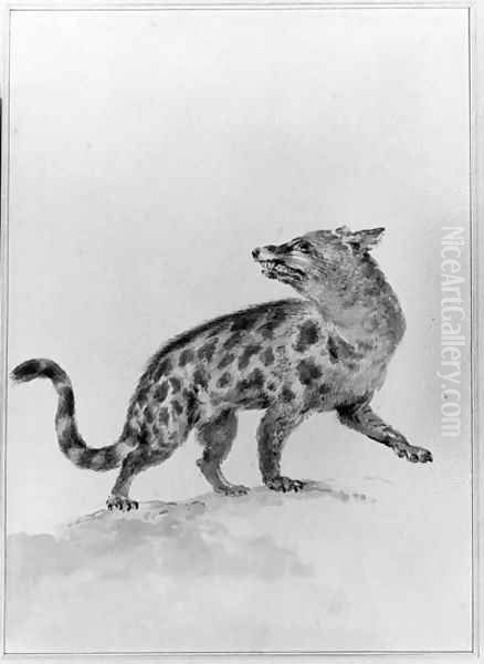 A Civet, looking backwards - view 1