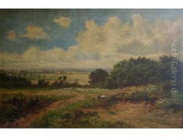 A Surrey Sand Pit - view 1