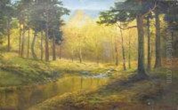 Autumn Woodland - view 1