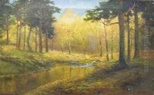Autumn Woodland by Daniel Sherrin