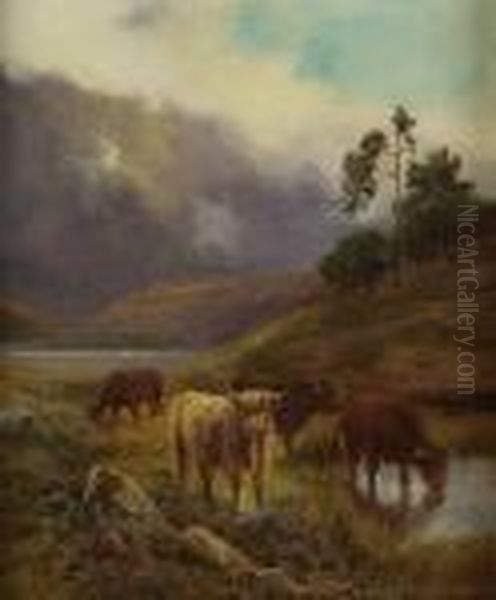 Highland Cattle Watering - view 1