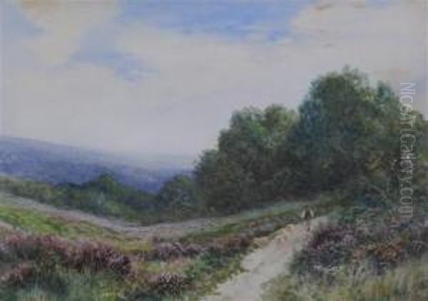 Shepherd And Flock On A Path - view 1