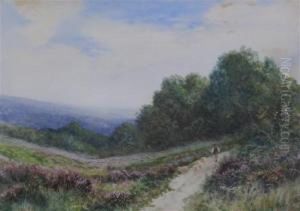 Shepherd And Flock On A Path