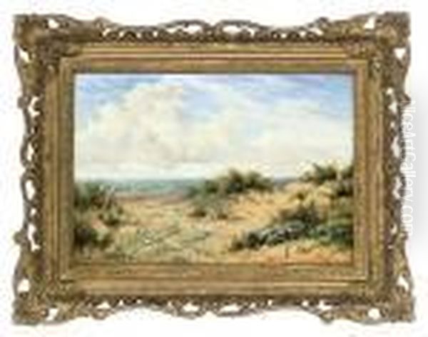 Sand Dunes On The Coast - view 1